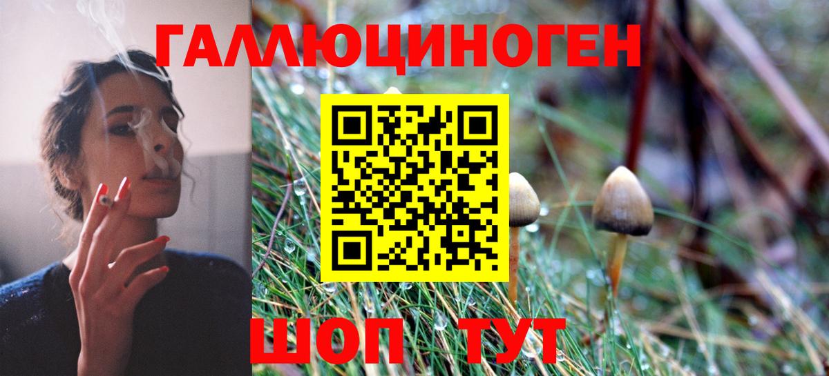 дарнет шоп  Вход с VPN  Приморско-Ахтарск  Псилоцибиновые грибы Psilocybine cubensis  Галлюциногенные грибы MAGIC MUSHROOMS 