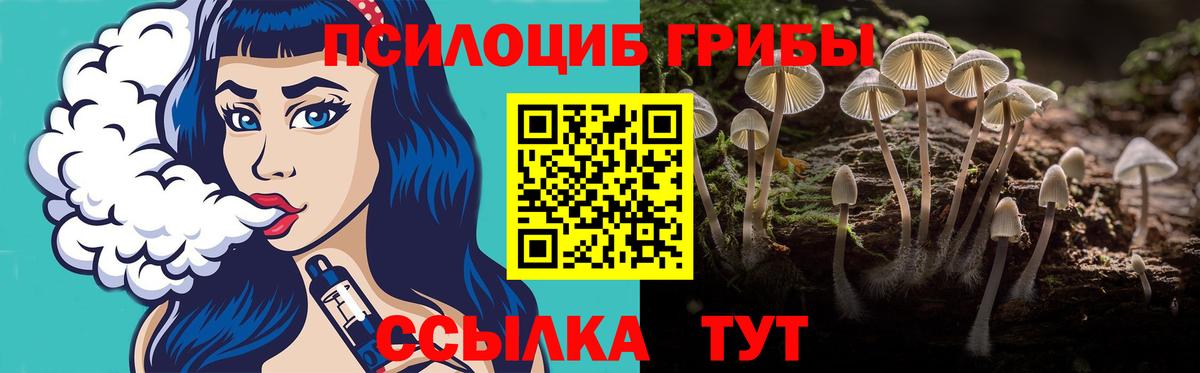 Псилоцибиновые грибы GOLDEN TEACHER Приморско-Ахтарск